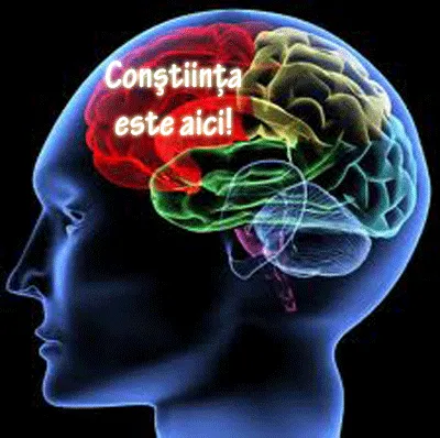 Profil de cap uman cu creierul luminat în culori și textul „Conștiința este aici!”