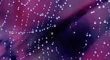 Picături strălucitoare pe un fundal violet
