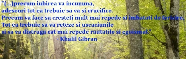 Pădure însorită, cu un citat din Khalil Gibran despre iubire
